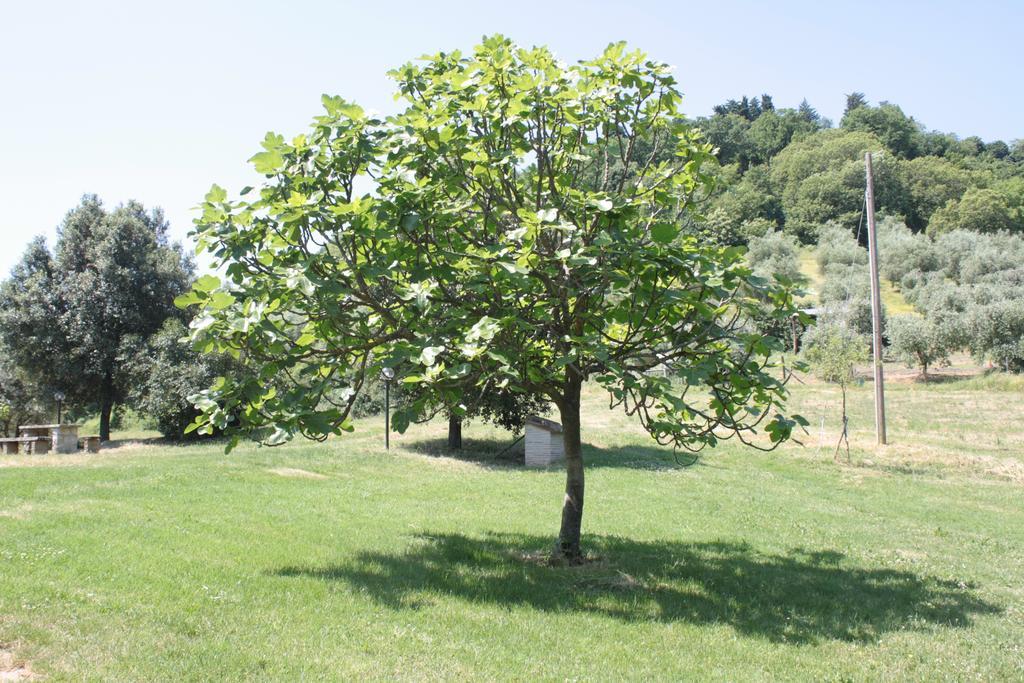 Il Vallone Di Melezzole Villa Buitenkant foto
