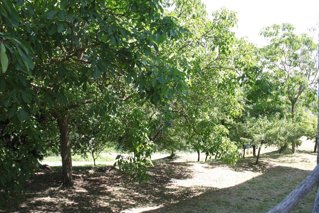 Il Vallone Di Melezzole Villa Buitenkant foto